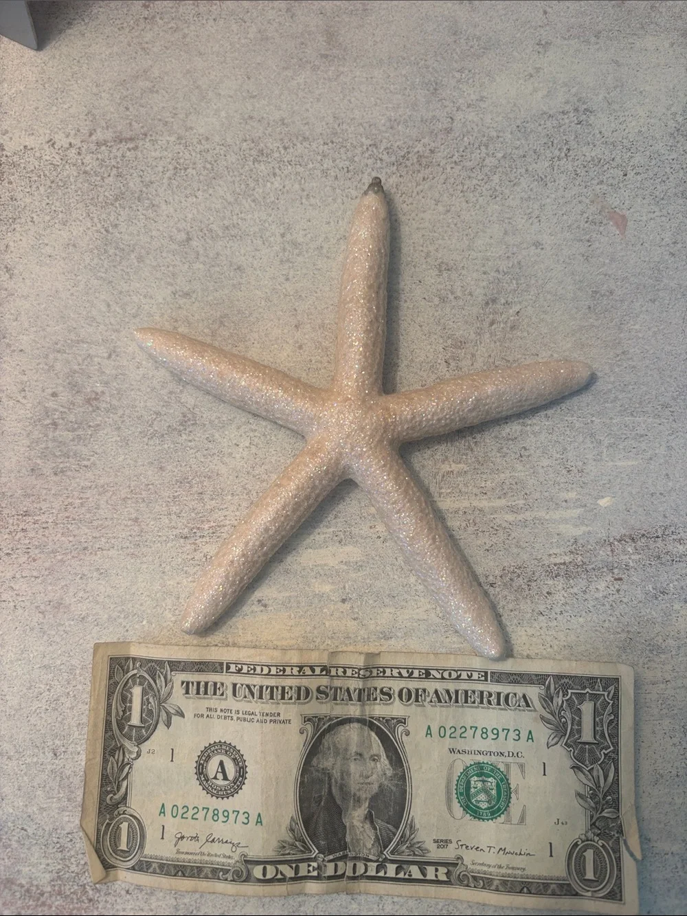 Coastal Starfish Wall Decor Set in Beige & Gray 7 in total